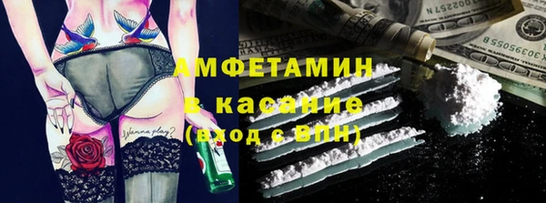 прущие грибы Ростов