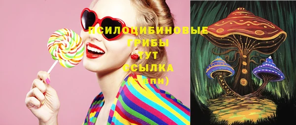 дурь Кулебаки