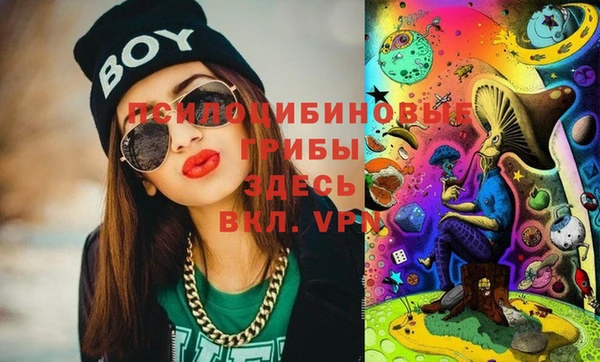 прущие крисы Кукмор