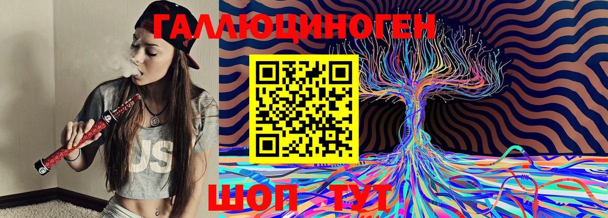 Галлюциногенные грибы Psilocybe  дарнет шоп  Ачинск 