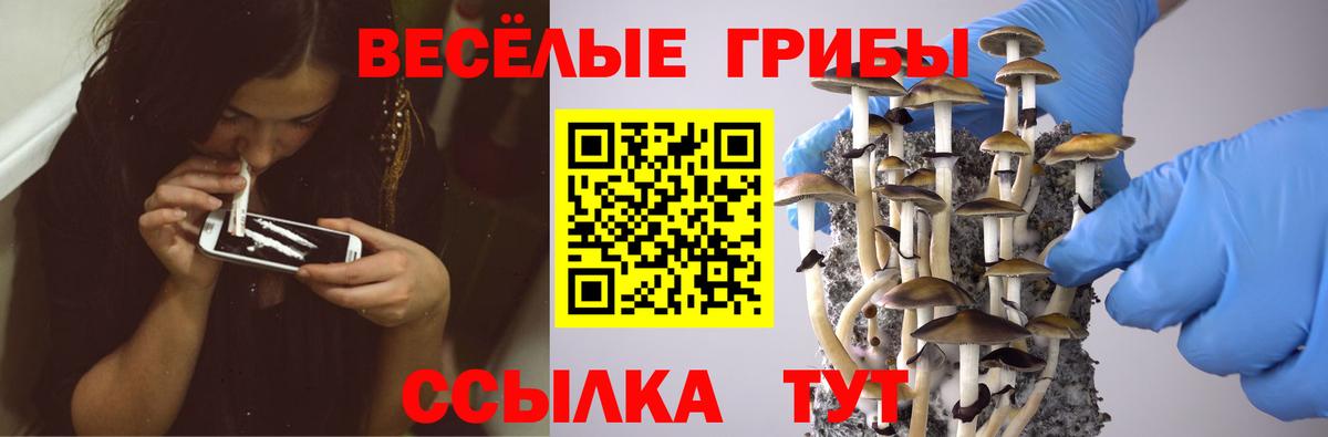 Ачинск  Галлюциногенные грибы мицелий  Вход с VPN 